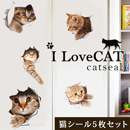 猫ちゃんウォールシール5枚セット